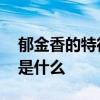 郁金香的特征和象征意義 郁金香的象征意義是什么 