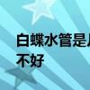 白蝶水管是幾線品牌 哪位能說(shuō)說(shuō)白蝶水管好不好 