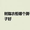 樹脂衣柜哪個(gè)牌子好 樹脂衣柜到底好不好 樹脂衣柜哪個(gè)牌子好 