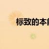 標致的本能概念將連接您的所有事物 標致的本能概念將連接您的所有事物