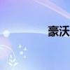 豪沃8.5米國五自卸車評測