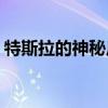 特斯拉的神秘皮卡 電動(dòng)卡車于11月21日亮相
