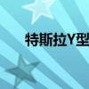 特斯拉Y型車(chē)真的能實(shí)現(xiàn)指數(shù)級(jí)盈利嗎