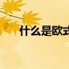 什么是歐式裝修風(fēng)格 什么是歐式裝修 