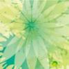 陸風(fēng)極光X7評(píng)測(cè)