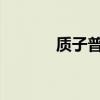 質(zhì)子普雷夫掀背車做夜間測試