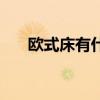 歐式床有什么優(yōu)點(diǎn) 請(qǐng)問(wèn)什么是歐式床 