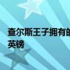 查爾斯王子擁有的超級跑車阿斯頓馬丁在拍賣會上拍出24萬英鎊