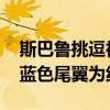 斯巴魯挑逗神秘的WRX STI與一個巨大的水藍色尾翼為紐約顯示