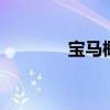 寶馬概念i4將于2021年投產(chǎn)