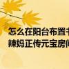 怎么在陽臺布置書房 突發(fā)奇想 請問如何把陽臺改成書房(像辣媽正傳元寶房間的那種) 
