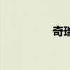 奇瑞風云2標準功能如何