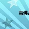 雪佛蘭樂風(fēng)新車型基礎(chǔ)信息