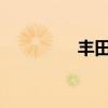 豐田漢蘭達(dá)外觀方面展示