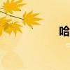 哈弗H3外觀(guān)方面展示