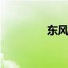 東風(fēng)景逸TT外觀(guān)方面展示