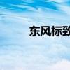 東風(fēng)標(biāo)致307愛樂版標(biāo)準(zhǔn)功能如何