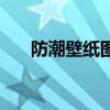 防潮壁紙圖片大全 請問防潮墻紙價格 