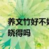 養(yǎng)文竹好不好 問一下各位文竹好養(yǎng)么 有網(wǎng)友曉得嗎 