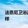 法恩尼衛(wèi)浴品牌怎么樣 請問法恩格衛(wèi)浴怎么樣 