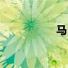 馬自達(dá)8外觀方面展示