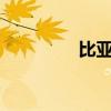 比亞迪SUV標準功能如何