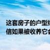 這套房子的戶型結(jié)構(gòu)在室內(nèi)裝修設(shè)計(jì)中如何優(yōu)化？請(qǐng)私信微信如果被收養(yǎng)它會(huì)是紅色的以示感謝