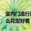 室內(nèi)門流行款式白色花型 我想知道室內(nèi)門什么花型好看 