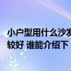 小戶型用什么沙發(fā)比較合適 小戶型客廳沙發(fā)的選擇怎樣才比較好 誰能介紹下 