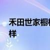 禾田世家櫥柜臺面 求大神解答禾田廚柜怎么樣 