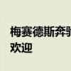 梅賽德斯奔馳V級轎車在其細(xì)分市場中非常受歡迎