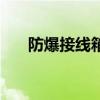 防爆接線箱規(guī)格 請問防爆接線箱報價 