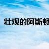 壯觀(guān)的阿斯頓馬丁V12 Speedster首次亮相