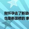 剛懷孕去了新裝修的房子怎么辦 懷孕的話怎么辦 工作地方也是新裝修的 家里也是新裝修的 怎么活 