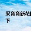 采育育新花園房?jī)r(jià) 采育新房?jī)r(jià)格知道的告訴下 