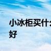 小冰柜買什么牌子 我想知道小冰柜什么品牌好 
