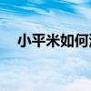 小平米如何滿足工作和生活的雙重需求？