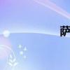 薩博95標準功能如何