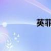 英菲尼迪M標(biāo)準(zhǔn)功能如何