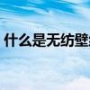 什么是無紡壁紙 求告知無紡壁紙那個(gè)品牌好 