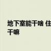 地下室能干啥 住宅地下室可以做什么 住宅地下室可以用來干嘛 