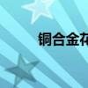 銅合金花灑 哪位說說銅花灑價格 