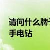 請(qǐng)問(wèn)什么牌子的破壁機(jī)好用 請(qǐng)問(wèn)什么牌子的手電鉆 
