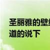 圣麗雅的壁紙怎么樣 優(yōu)麗雅特壁紙怎么樣知道的說下 