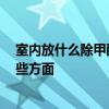 室內放什么除甲醛 室內空氣除甲醛有哪些好辦法 要注意哪些方面 