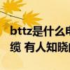 bttz是什么電纜什么地方用 BTUGT是什么電纜 有人知曉的嗎 