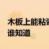木板上能粘瓷磚嗎 木門上皮可粘在瓷磚上嗎 誰知道 木板上能粘瓷磚嗎 木門上皮可粘在瓷磚上嗎 誰知道