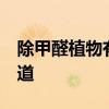 除甲醛植物有哪些 除甲醛什么植物好 有誰知道 