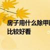 房子用什么除甲醛 求解裝修后用什么去除甲醛等 哪種風(fēng)格比較好看 