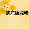 陜汽德龍粉粒物料運(yùn)輸車(chē)評(píng)測(cè)（底盤(pán)篇）
